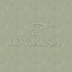  Loymina Jetset JET5 005 -  1