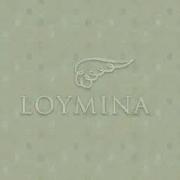  Loymina Jetset JET5 005