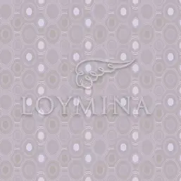  Loymina Jetset JET5 008