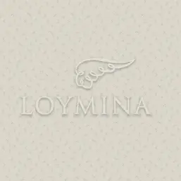  Loymina Jetset JET6 002