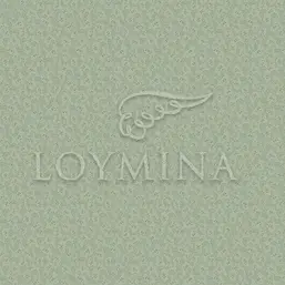  Loymina Jetset JET6 005