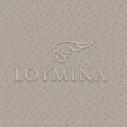  Loymina Jetset JET6 012