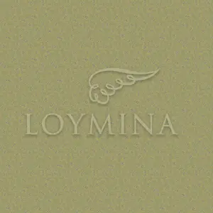  Loymina Jetset JET6 018 -  1