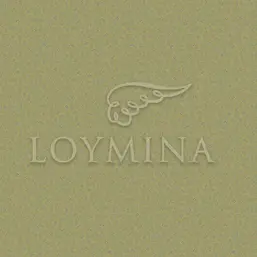  Loymina Jetset JET6 018