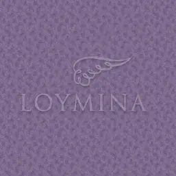  Loymina Jetset JET6 022