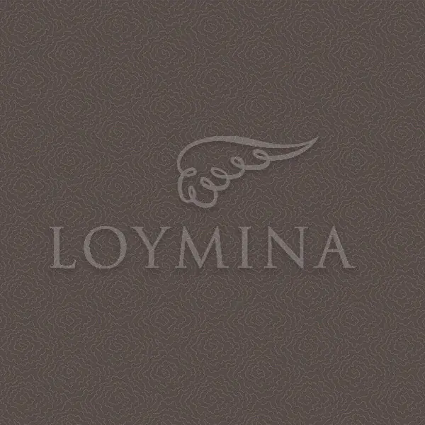  Loymina Jetset JET7 009 -  1