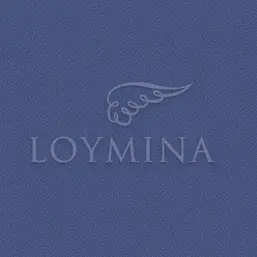  Loymina Jetset JET7 018