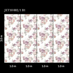  Loymina Jetset Jet10 002/1 B1 -  1