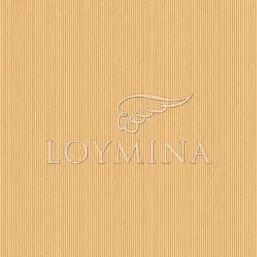  Loymina Satori II K13004