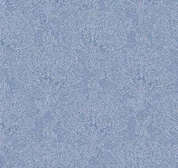  Loymina Enigma LD9 106