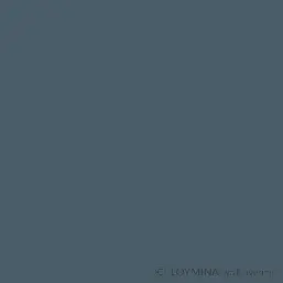  Loymina Lac Deco Lac2 003