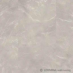  Loymina Lac Deco Lac7 001