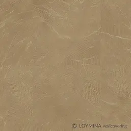  Loymina Lac Deco Lac7 012