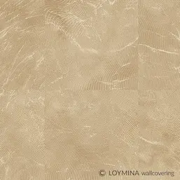  Loymina Lac Deco Lac7 021