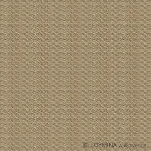  Loymina Lac Deco Lac8 012 -  1