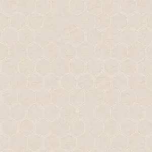  Loymina Liberty LIB1 001 -  1