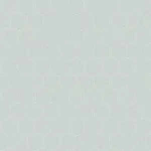  Loymina Liberty LIB1 006 -  1