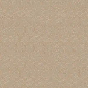  Loymina Liberty LIB1 010 -  1