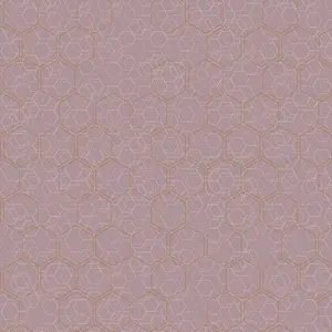  Loymina Liberty LIB1/221 -  1