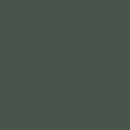  Loymina Materials Lotus LT1 136
