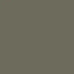  Loymina Materials Lotus LT1 137