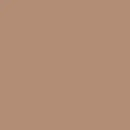  Loymina Materials Lotus LT1 206