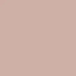  Loymina Materials Lotus LT1 307