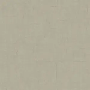  Loymina Materials Stucco STC3005 -  1