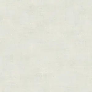  Loymina Materials Stucco STC4005 -  1