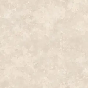  Loymina Materials Stucco STC5001-1 -  1