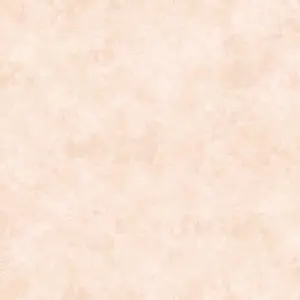  Loymina Materials Stucco STC5002 -  1