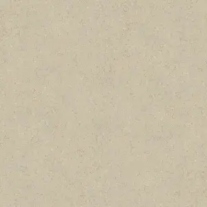  Loymina Materials rr TER3005 -  1