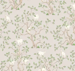  Loymina Origins Als5-008 -  1