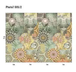  Loymina Phantom  Photo 7 005/2