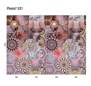  Loymina Phantom  Photo 7 221 -  1