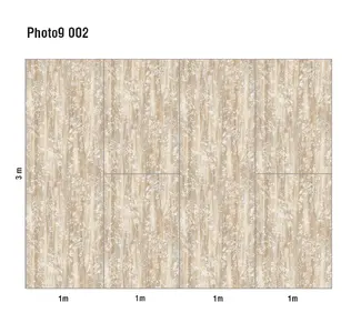  Loymina Phantom  Photo 9 002 -  1