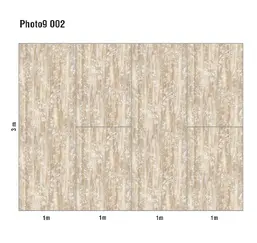  Loymina Phantom  Photo 9 002