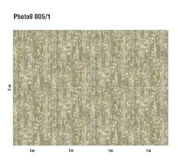  Loymina Phantom  Photo 9 005/1