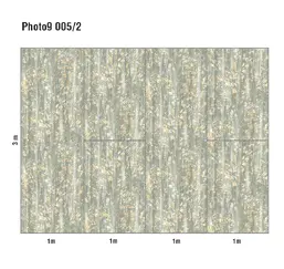  Loymina Phantom  Photo 9 005/2