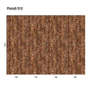  Loymina Phantom  Photo 9 010 -  1