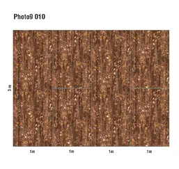  Loymina Phantom  Photo 9 010