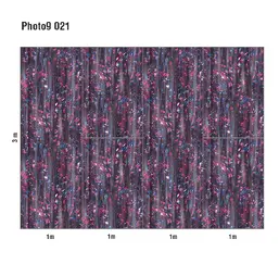  Loymina Phantom  Photo 9 021