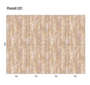  Loymina Phantom  Photo 9 221 -  1