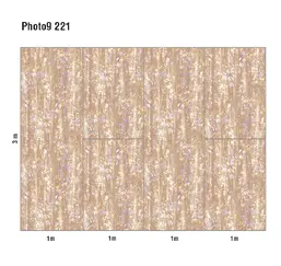  Loymina Phantom  Photo 9 221