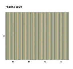  Loymina Phantom  Photo 13 005/1