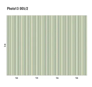  Loymina Phantom  Photo 13 005/2 -  1