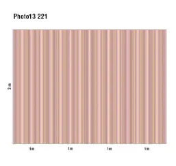  Loymina Phantom  Photo 13 221
