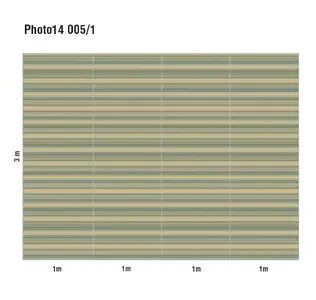  Loymina Phantom  Photo 14 005/1 -  1