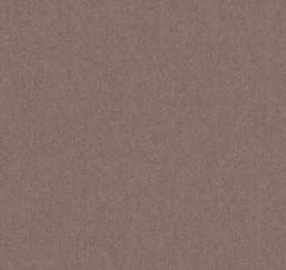  Loymina Rosa Dragomirski R5 010