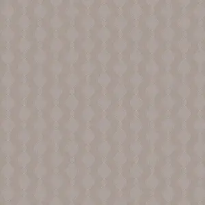  Loymina  BRIT21 002 -  1
